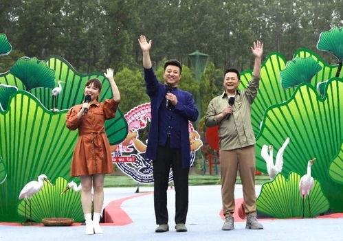 喜华哥最新爆料视频大全,揭秘娱乐圈幕后真相