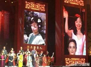 最新一周年爆料的电视剧,揭秘最新周年爆料电视剧背后的精彩故事